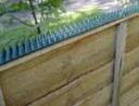 Green Anti Cat Strip fitted to garden fence